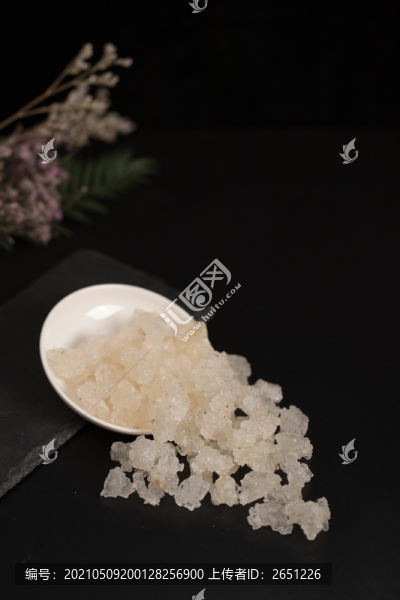 雪燕