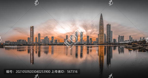 深圳灣全景