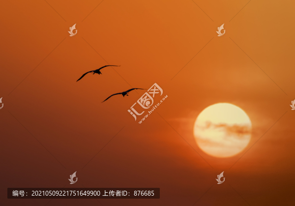 日出