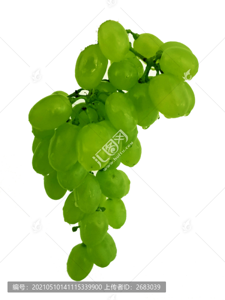 陽(yáng)光玫瑰