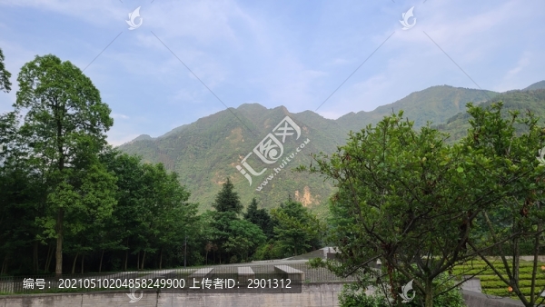 高山群山綠植