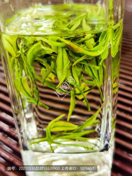 安吉白茶茶芽特寫