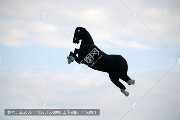 黑馬風(fēng)箏