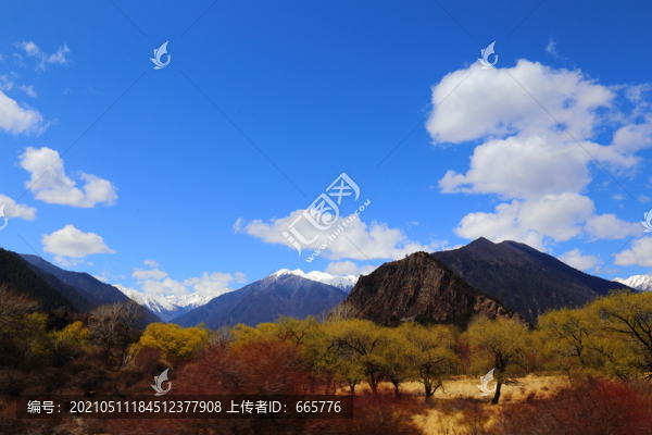 西藏風(fēng)光