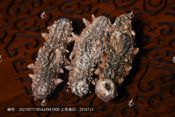海參干