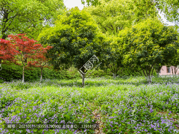 常熟沙家浜風(fēng)景區(qū)