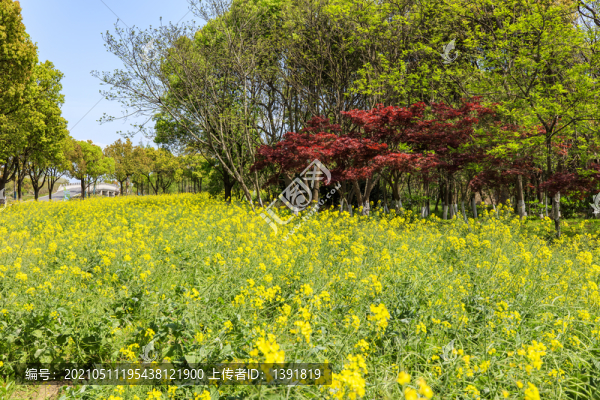 常熟沙家浜風(fēng)景區(qū)