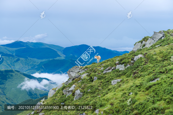 五臺山朝臺