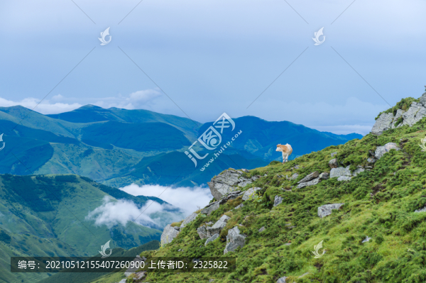 五臺山朝臺