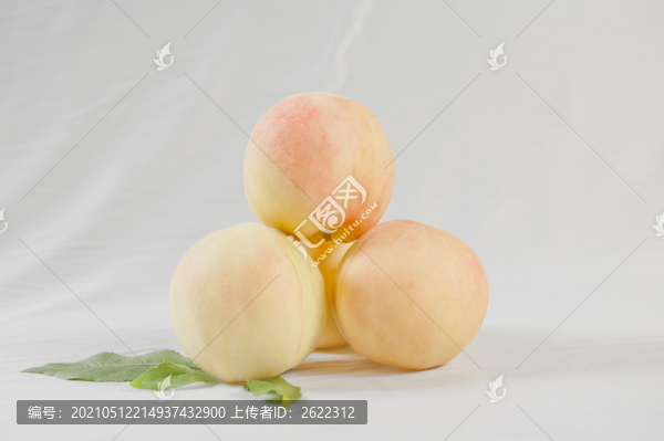水蜜桃白底圖