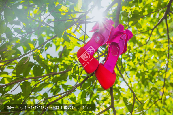 婚慶場(chǎng)景