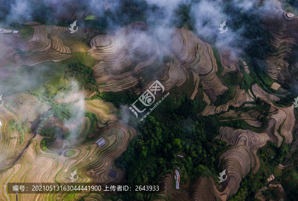 廣西龍脊梯田