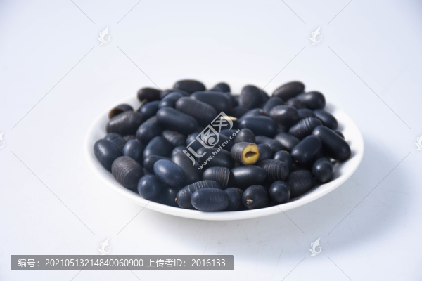雙腎子