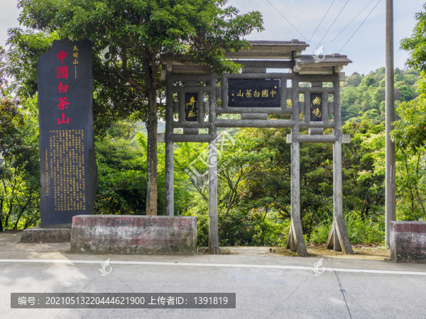 中國白茶山