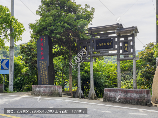 中國(guó)白茶山
