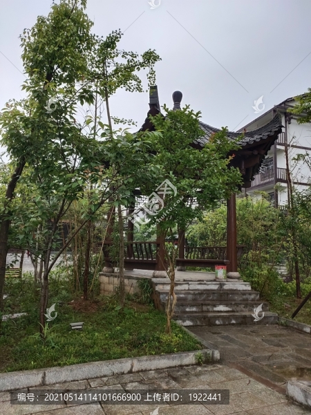 綠植與亭子