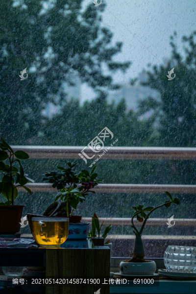 傍晚窗口的盆栽和茶水