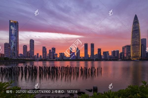 深圳灣