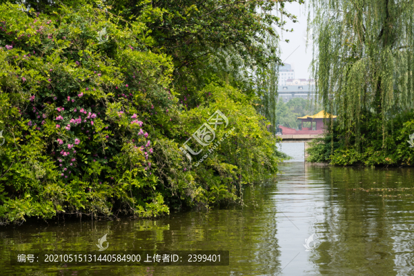 濟南大明湖