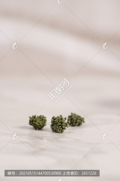 三七花