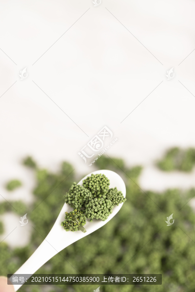 三七花