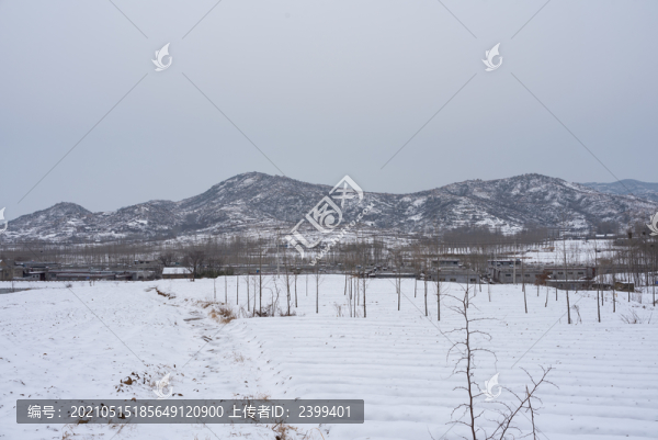 鄉(xiāng)村田園田野雪景