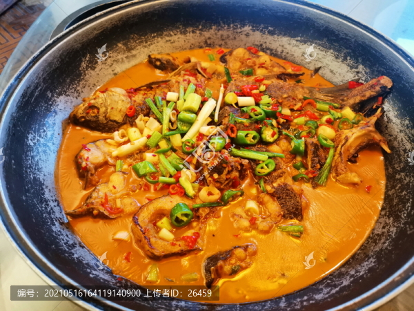 三味魚(yú)