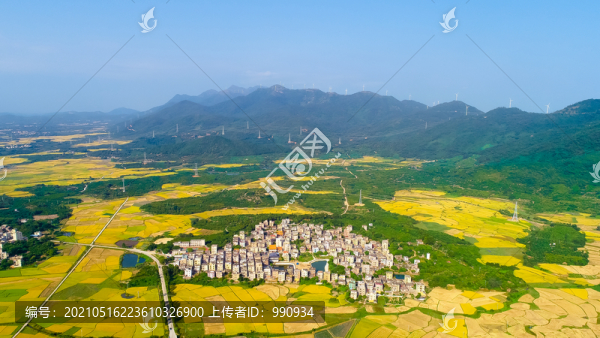 鄉(xiāng)村秋色