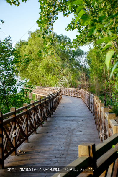 南京魚嘴濕地公園