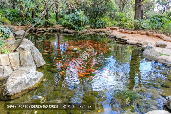 云南蝴蝶泉公園