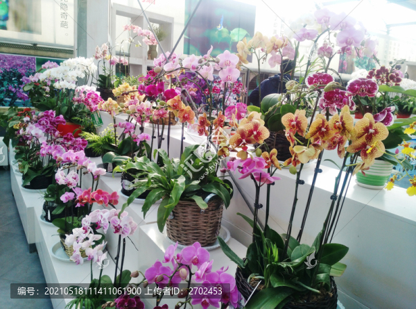 鮮花店