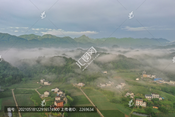 平流霧風(fēng)光