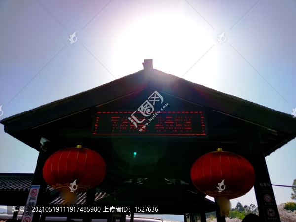 陽光下的紅燈籠