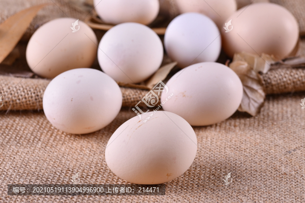 土雞蛋高清圖