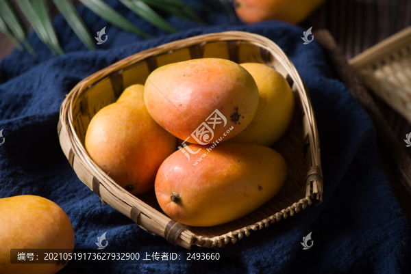 芒果臺(tái)芒