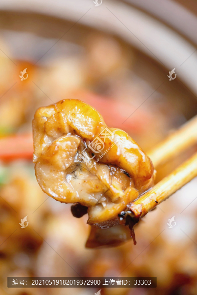 牛蛙高清特寫(xiě)