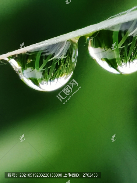 露珠
