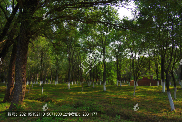 順義區(qū)漢石橋濕地自然保護(hù)區(qū)