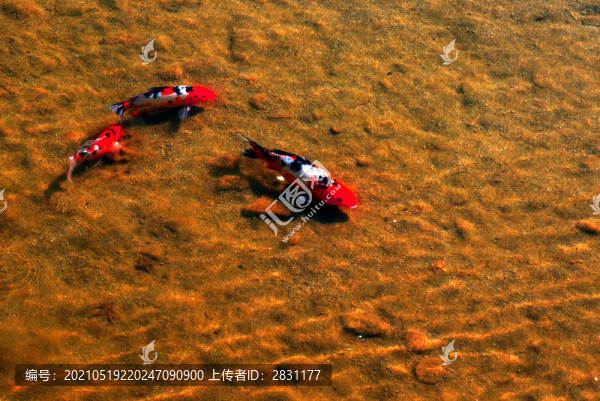 千靈山風(fēng)景區(qū)