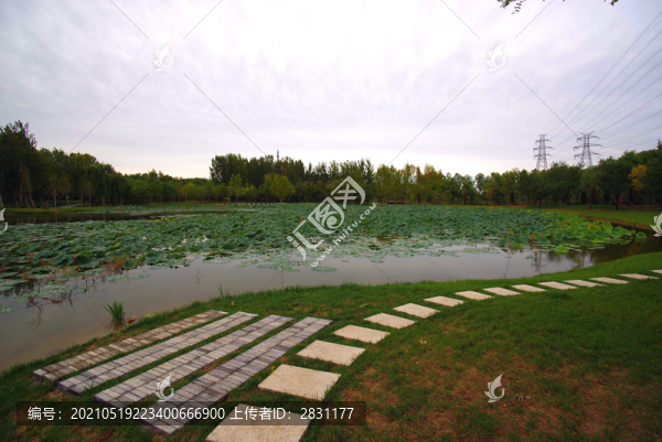 朝陽區(qū)何里棲地公園