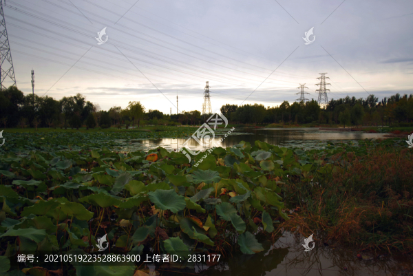 朝陽(yáng)區(qū)何里棲地公園