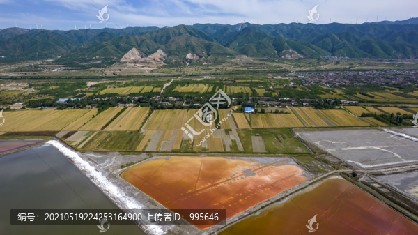 山西運城鹽湖麥田