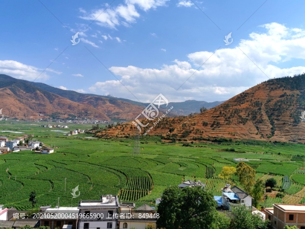 遠(yuǎn)山農(nóng)田