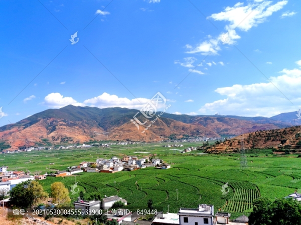 遠(yuǎn)山農(nóng)田