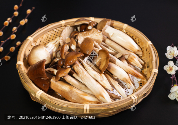 菌菇