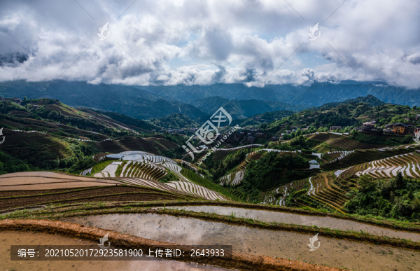 雨后的灌水龍脊梯田