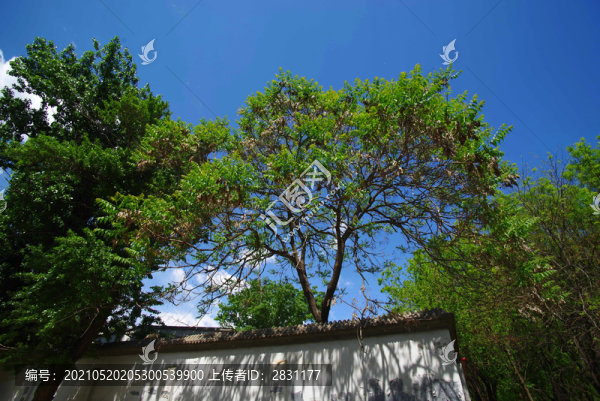 朝陽區(qū)鎮(zhèn)海寺城市公園