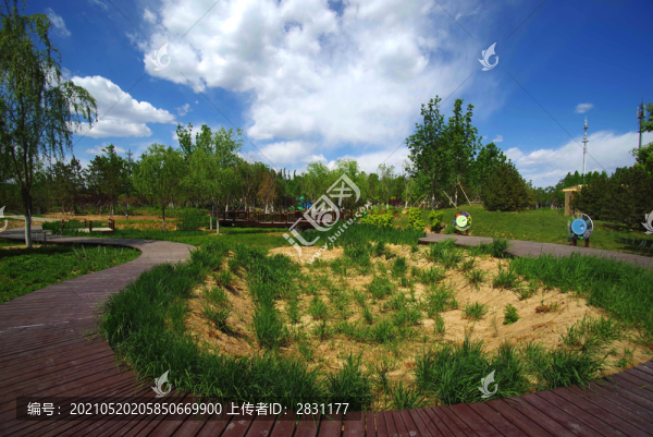 朝陽區(qū)鎮(zhèn)海寺城市公園