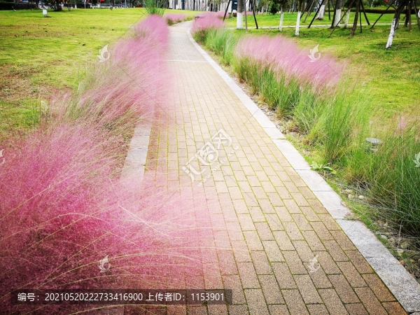 公園小路