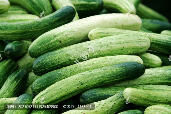 水果黃瓜
